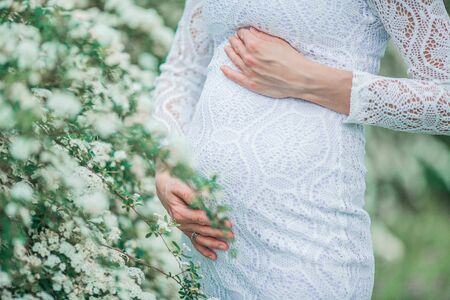Young beautiful pregnant woman in a lace white dress walks in a flowering park. Portrait of a beautiful pregnant blonde.の写真素材