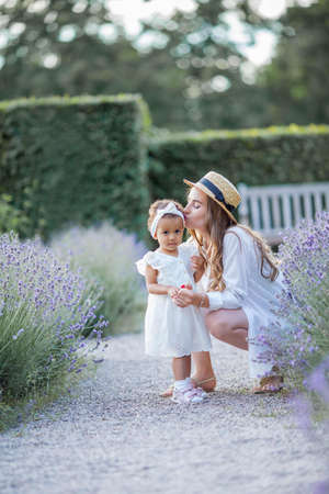 Beautiful young mother and her little daughter in blooming lavender. International family. Blooming lavender.の写真素材