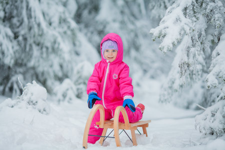 Little cute blue-eyed girl sledding in a snowy forest. Winter Garden.の写真素材