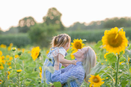 Mom with a little daughter 3 years old in a sunflower field. Summer sunset. Family.の写真素材