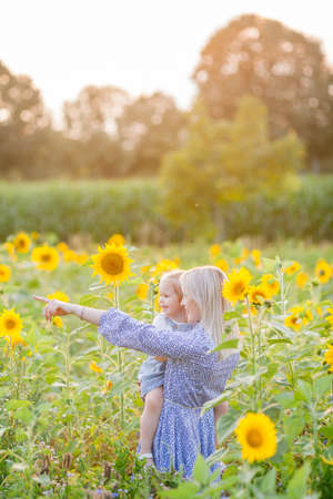 Mom with a little daughter 3 years old in a sunflower field. Summer sunset. Family.の写真素材