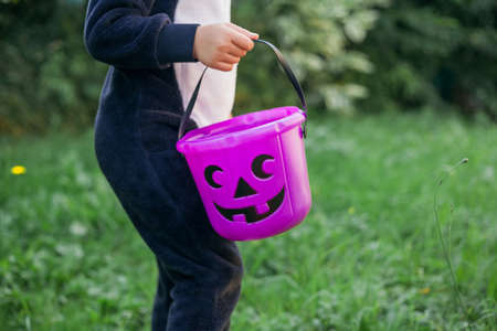 Cute girl in a plush cat costume holds a pumpkin-shaped candy bucket in her hands. Halloween.の写真素材