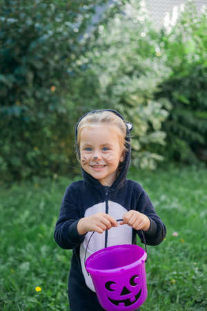 Cute girl in a plush cat costume holds a pumpkin-shaped candy bucket in her hands. Halloween.の写真素材