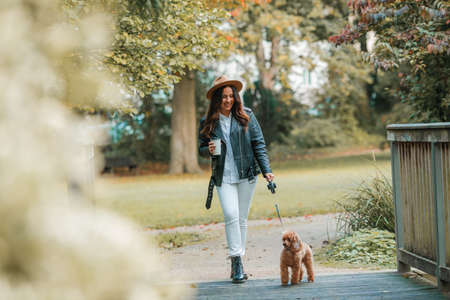 A beautiful young dark-haired woman walks in the park and hugs her poodle dog. Autumn mood. Fall.の写真素材