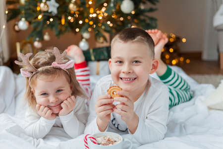 Adorable little boy and girl in holiday pajamas sit by the Christmas tree drinking hot cocoa with marshmallows and lollipop in Christmas decorations. Winter holidays. New Year.の写真素材