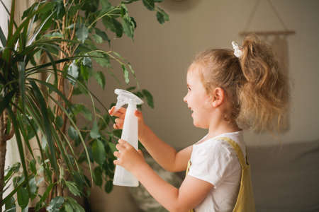 Cute blue-eyed curly-haired girl of 4 years old pours houseplants with water from a watering can in a cozy house. Little child helps his mother with household chores. Eco friendly. Planet.の写真素材