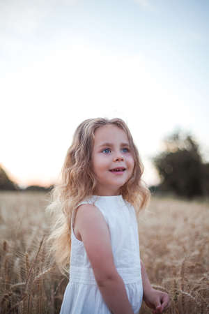 Adorable little curly girl 4 years old in a white dress in the sun at sunset in a wheat field. happy child outside. walk. warm summer.の写真素材
