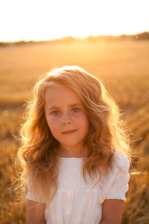 Adorable little curly girl 4 years old in a white dress in the sun at sunset in a mowed field of wheat. happy child outside. Walk. warm summer.の写真素材