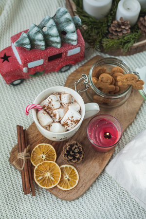 Hot cup of cocoa with marshmallows and gingerbread cookies. Christmas eco decorations. new year. winter holidays.の写真素材