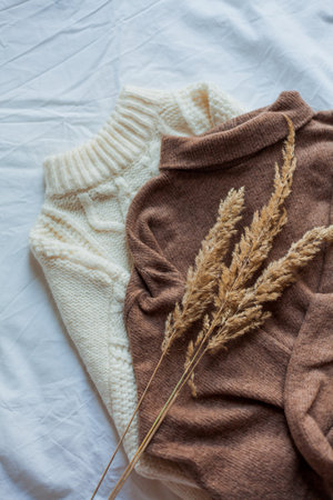 Knitted cozy sweaters in brown shades on white background. house. Winter.の写真素材