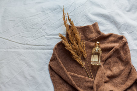 Knitted cozy sweaters in brown shades on white background. house. Winter.の写真素材