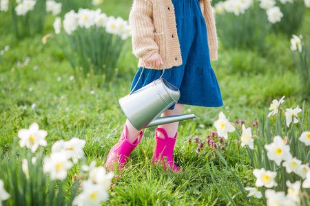 Easter. Cute little girl of 5 years old with rabbit ears is watering daffodils on the lawn. happy child.の写真素材