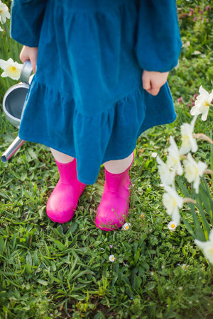 Easter. Cute little girl of 5 years old with rabbit ears is watering daffodils on the lawn. happy child.の写真素材