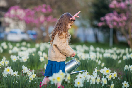Easter. Cute little girl of 5 years old with rabbit ears is watering daffodils on the lawn. happy child.の写真素材