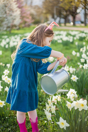 Easter. Cute little girl of 5 years old with rabbit ears is watering daffodils on the lawn. happy...