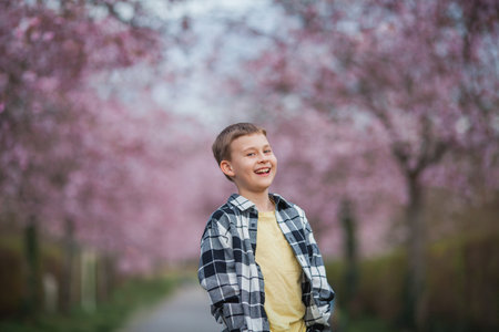 Delightful blond-haired boy in plaid shirt and light-colored pants walks through the cherry blossom park. Spring.の写真素材