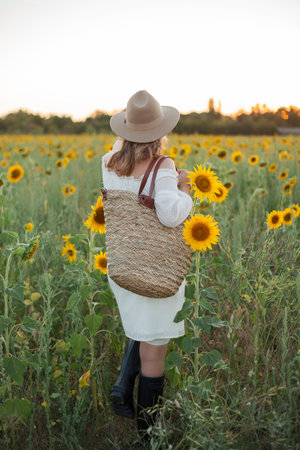 Portrait of beautiful young woman 33 years old in hat in sunflower field at sunset. Happy model in white dress on summer evening in nature.の写真素材