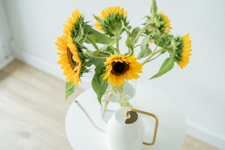 Bouquet of beautiful sunflowers in glass vase for home decor. Summer interior. Plant.の写真素材