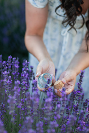 Young beautiful woman with long dark hair in a hat picking lavender flowers in a field. Holds a jar of essential oil in her hands.の写真素材