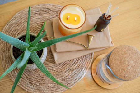 an aloe houseplant, an aroma diffuser, and a candle on a coffee table in the living room.