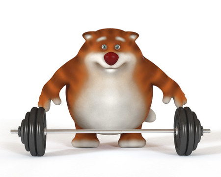 The fat kitten plays sports to grow thinの写真素材