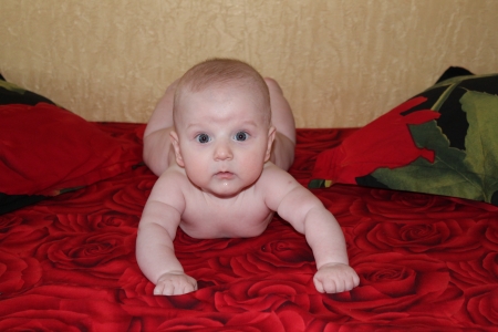 A cute baby lying on the bedsheet decorated with red rosesの写真素材