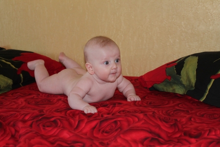 A cute baby lying on the bedsheet decorated with red rosesの写真素材