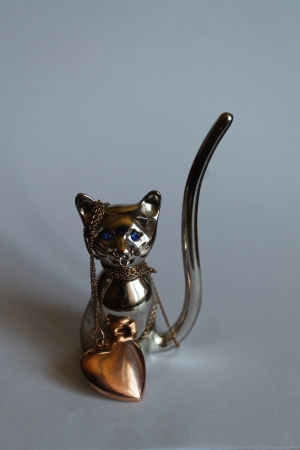 A silver cat and a golden pendantの写真素材