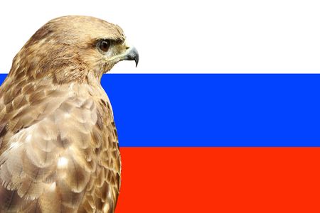 Eagle against the Russian flag - a symbol of Russiaの写真素材
