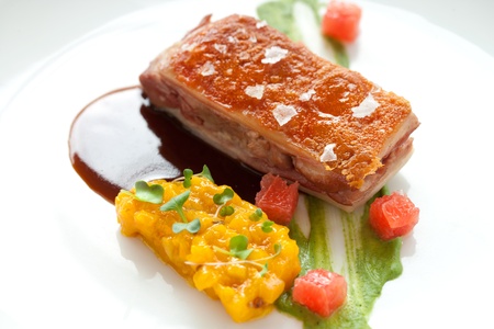 Close up of crispy pork fillet with mango chutney and oporto sause の写真素材