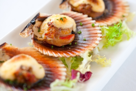 Macro close up of queen scallop starter.の写真素材