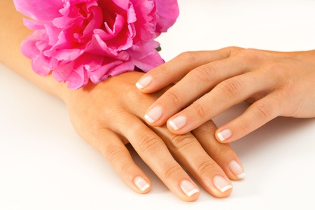 Macro close up of female hands with french manicure and pink decorative flower の写真素材