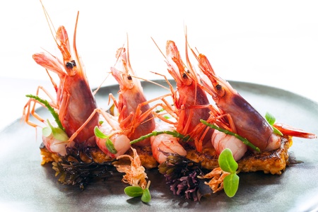 Macro close up of King prawns with crisp seafood rice の写真素材