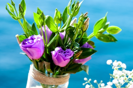 Detail of violet rose bouquet against blue background outdoors.の写真素材