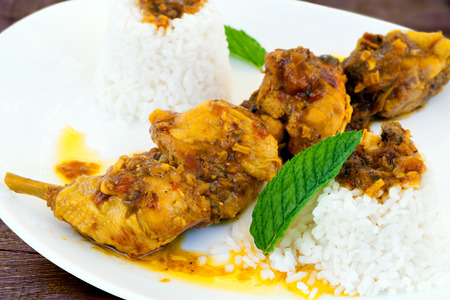 Macro close up of spicy hot chicken curry stew with steamed white rice and green mint leaves.の写真素材