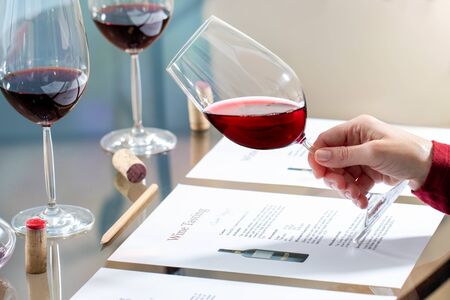 Close up of enologist holding red wine glass at table. Documents and pencil for evaluation.の写真素材