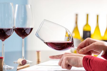 Close up detail of hand holding red wine glass at table. Enologist evaluating density and body of wine.の写真素材
