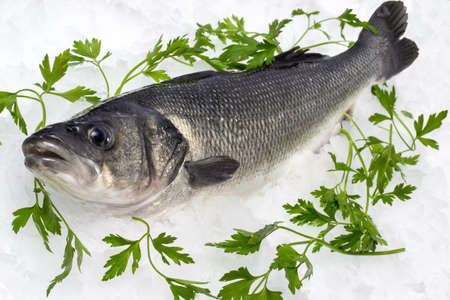 Close up of fresh sea bass on ice with decorative green parsley leaves.の写真素材