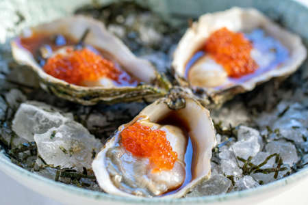 Macro close up of fresh appetizing oysters with orange caviar and ponzu sauce served on crushed ice.の写真素材