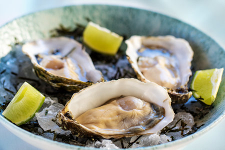 Macro close up fresh appetizing oyster starter on ice with lime slices.