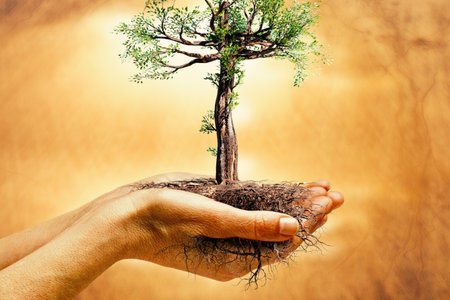 Conceptual macro close up of hands holding tree with roots against orange background.の写真素材