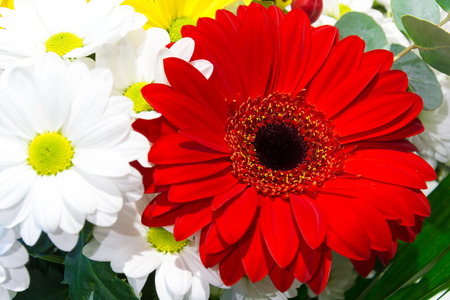A large bouquet of love. Bouquet of gerberas and daisies. Bridal bouquet. Bundle of flowers in a vase. Fresh scent of spring flowers.の写真素材