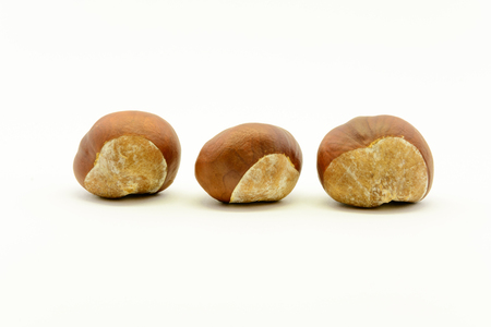Closeup chestnuts isolated on white backgroundの写真素材