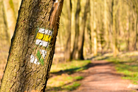 Tourist sign on a tree along the way. Tourist signs in the Czech Republicの写真素材