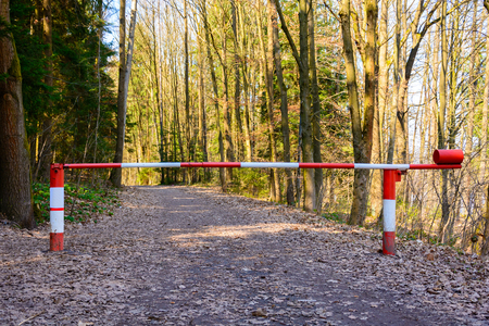 Red and white lobster in the woods. Prohibition of entering the forest. Shutter across the road. Barrier on the road.の写真素材