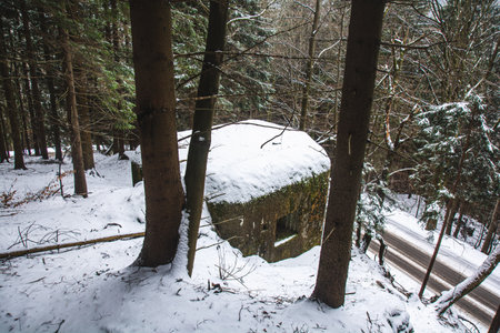Winter scenery of abandoned bunker in the middle of the forest. Rain in the Orlicky Mountains, Czech...