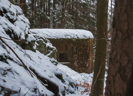 Hidden concrete bunker in the middle of the forest with rock and tree. Czechiaのeditorial素材