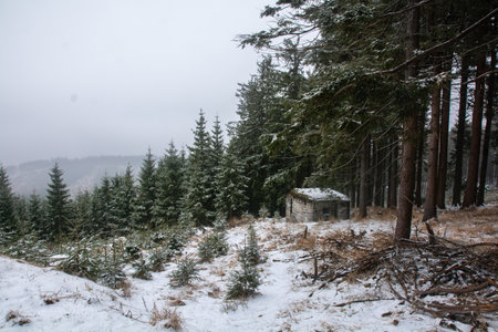 Winter mountains with a cocnrete bunker near the forest. Czechia.の写真素材
