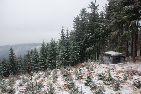 Winter mountains with a cocnrete bunker near the forest. Czechia.の写真素材