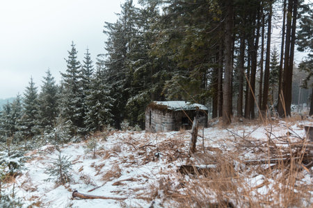 Winter scenery with an abandoned concrete bunker in forest. Velka Destna, Czech republicの写真素材
